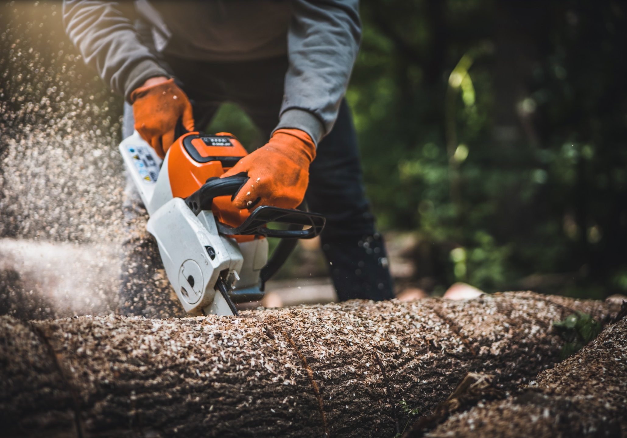 Cordless Chainsaw. Close-up of woodcutter sawing chain saw in motion, sawdust fly to sides. Chainsaw in motion. Hard wood working in forest. Sawdust fly around. Firewood processing.