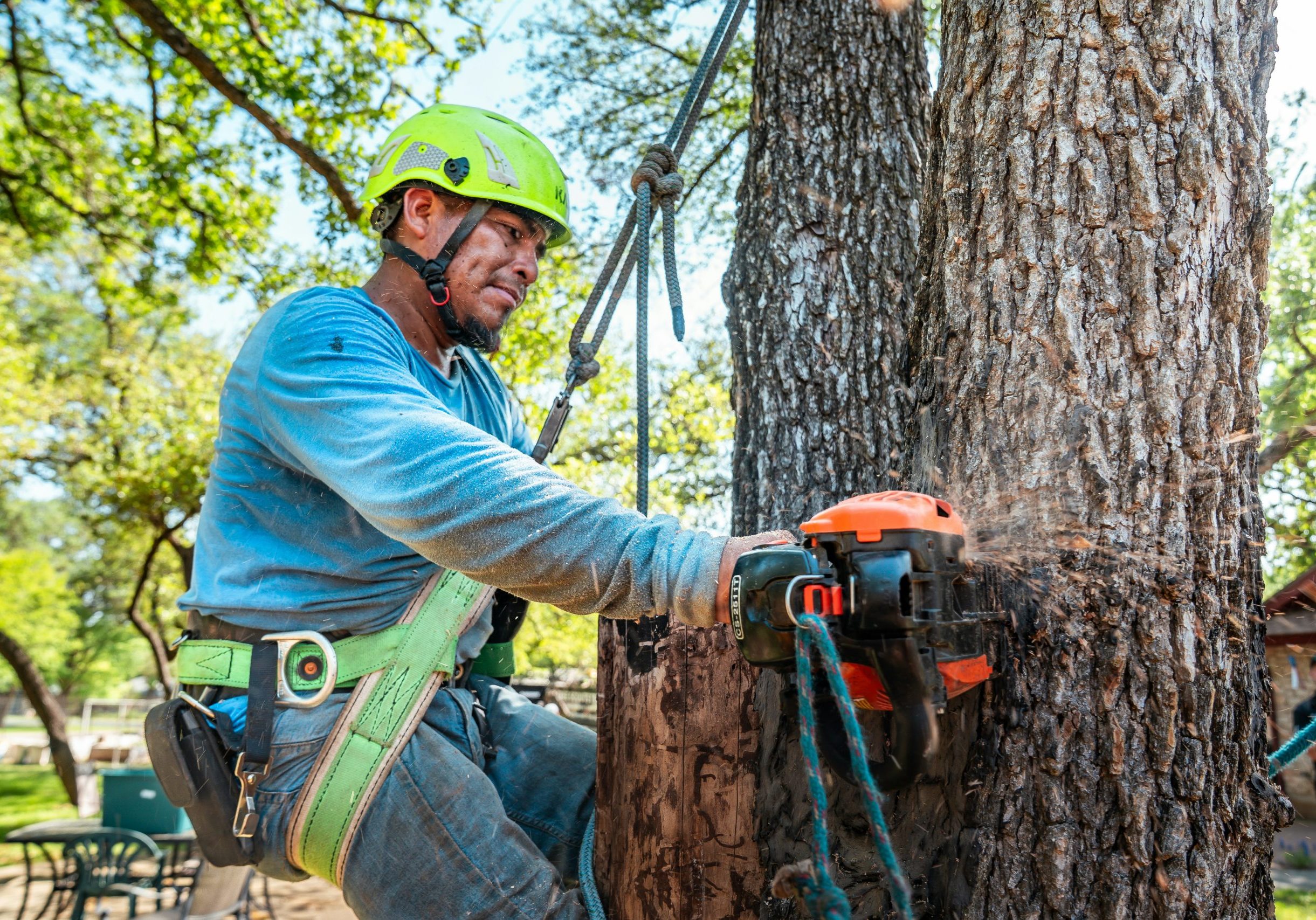 marks-tree-service-roanoke-va-general-tree-removal-chainsaw