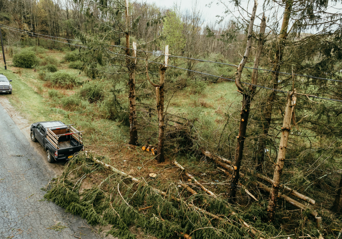 marks-tree-service-roanoke-va-storm-damage-cleanup-roanoke-va